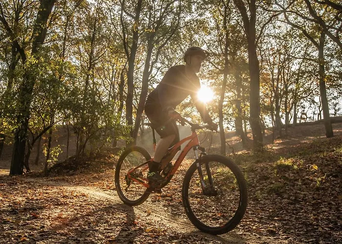 Landal * Kaatsheuvel